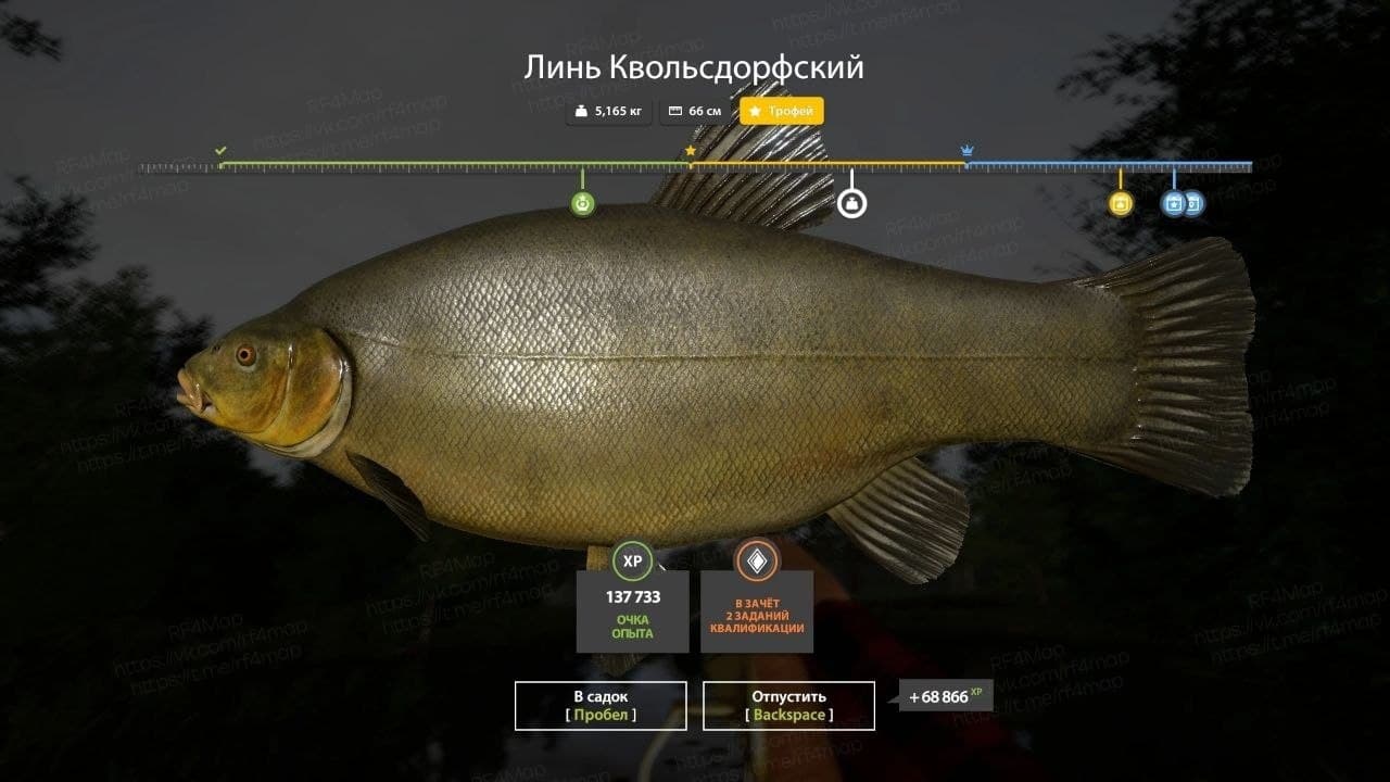 оз. Медное: трофей