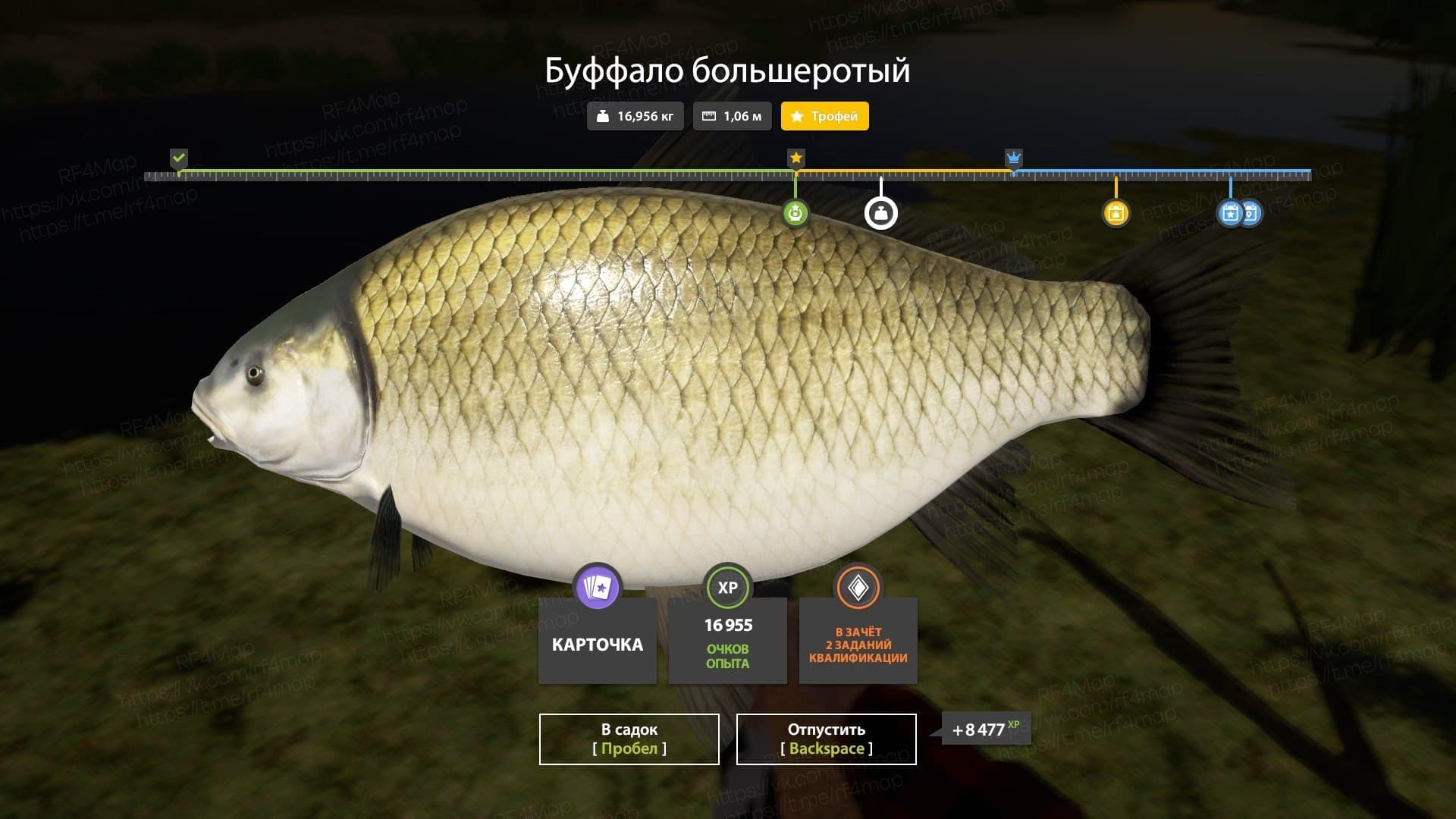 р. Ахтуба: трофей