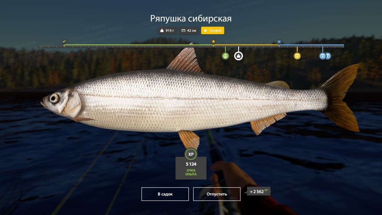 р. Нижняя Тунгуска: трофей