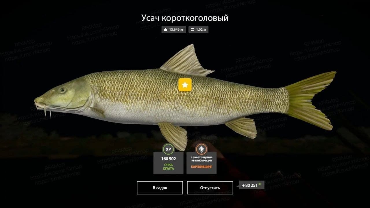 р. Ахтуба: трофей, квалификация
