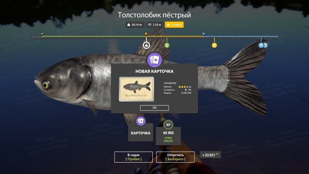 р. Сура: трофей