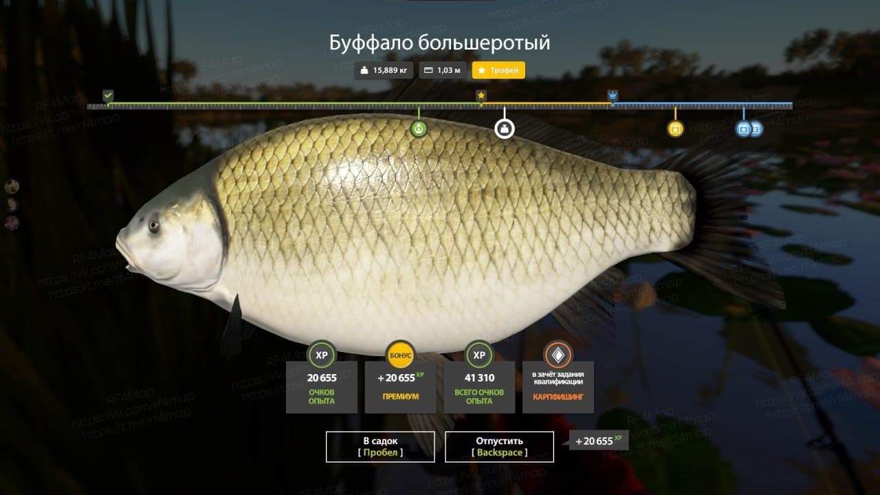 р. Ахтуба: фарм, трофей