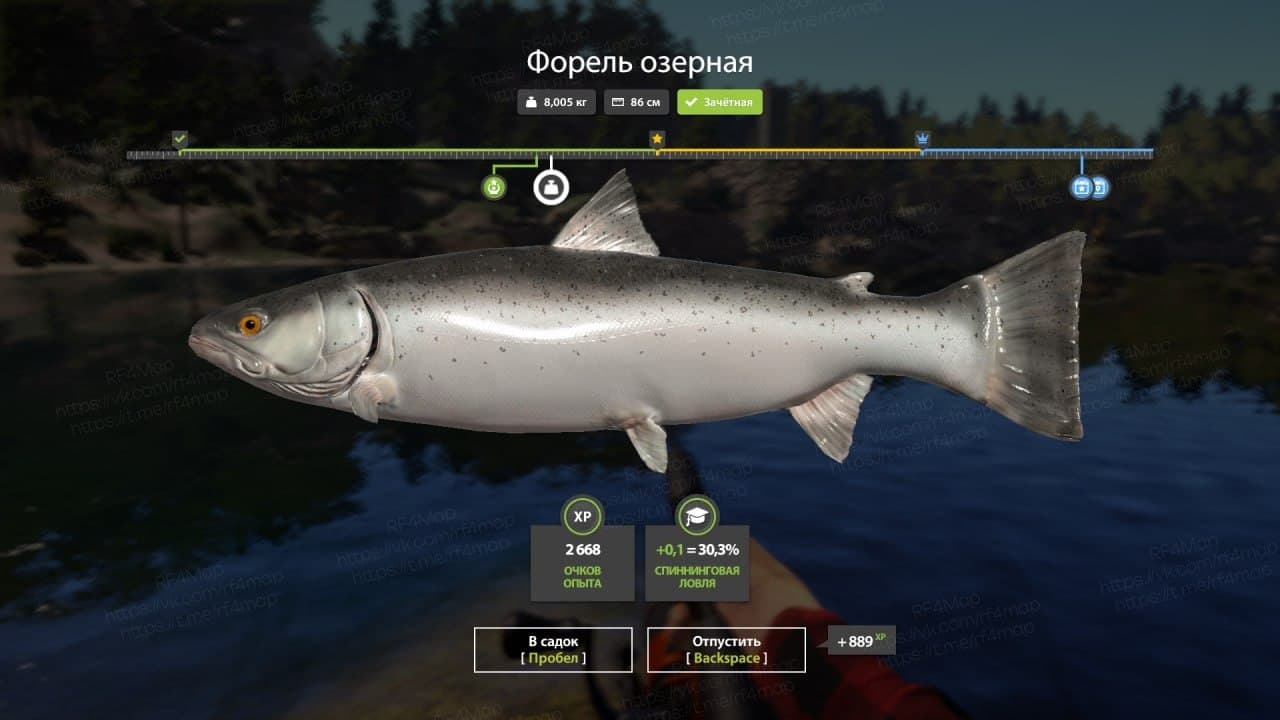 оз. Куори: фарм