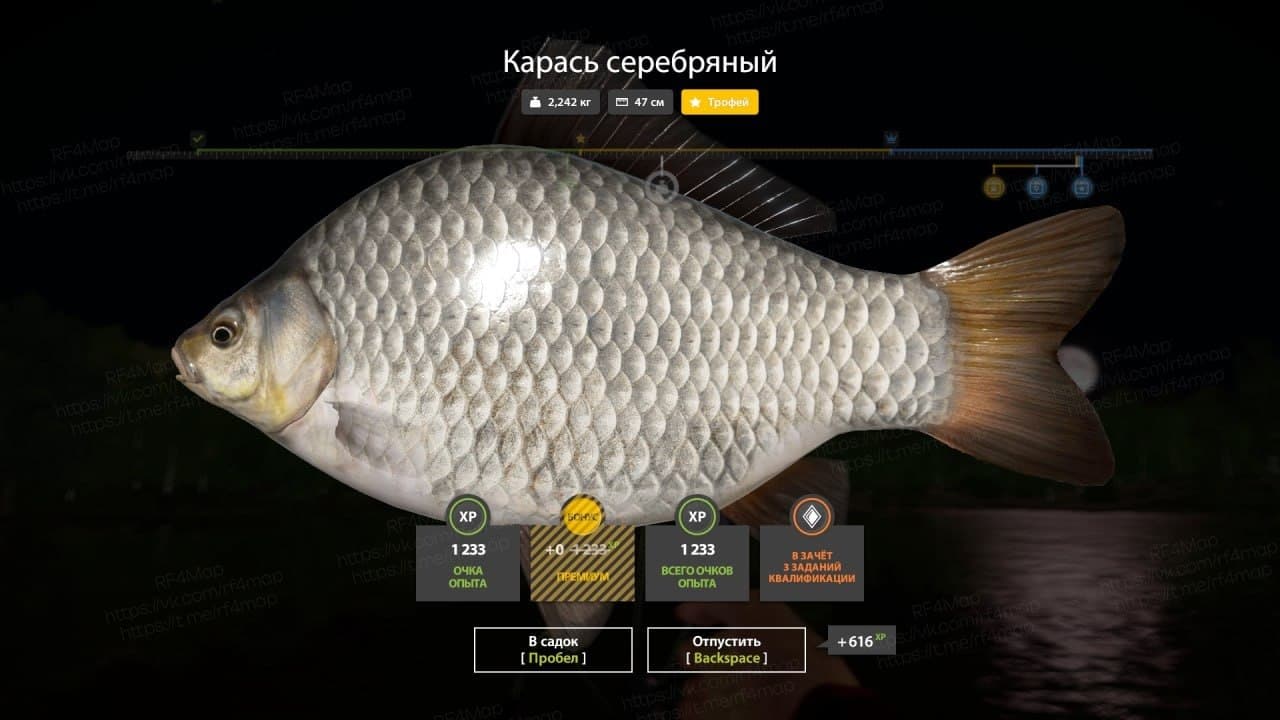 оз. Комариное: трофей