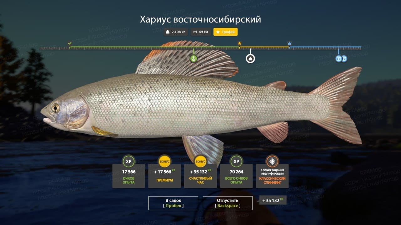 р. Нижняя Тунгуска: трофей