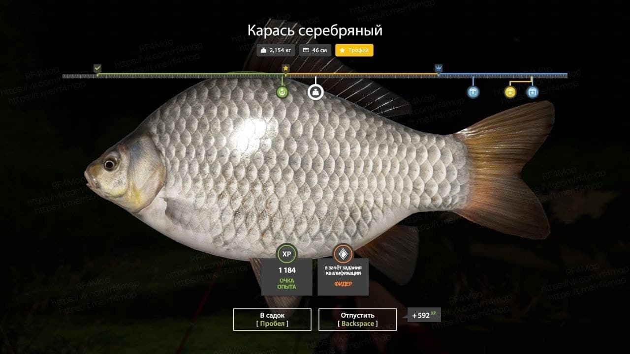 р. Вьюнок: трофей
