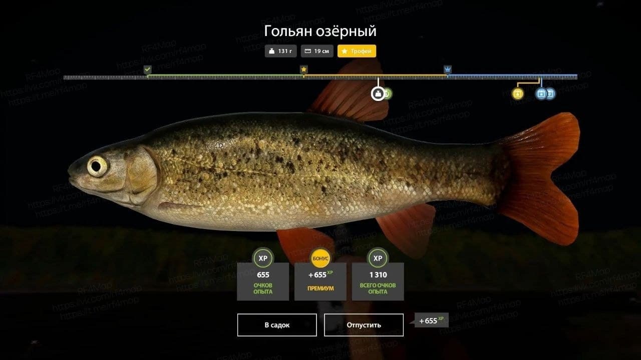 р. Нижняя Тунгуска: трофей
