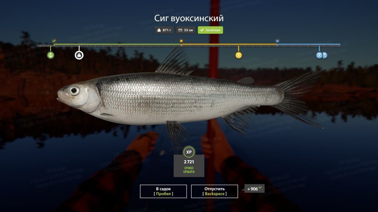 Ладожское оз.: трофей
