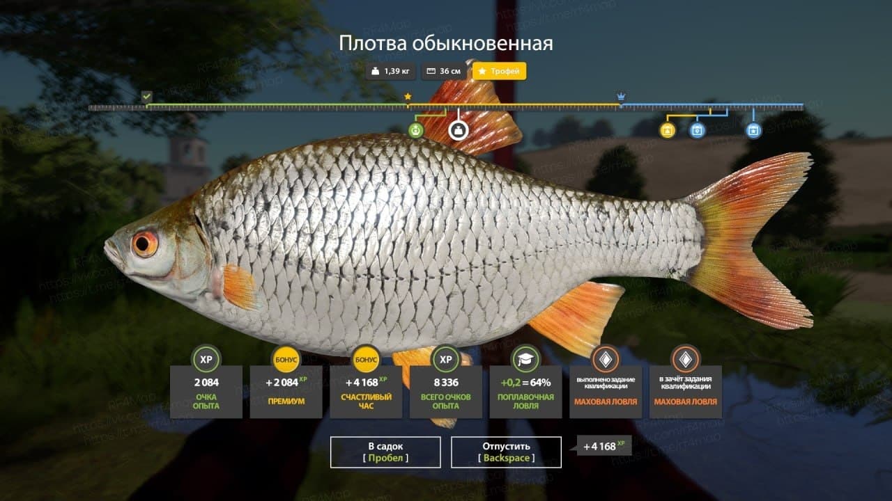 р. Северский Донец: фарм