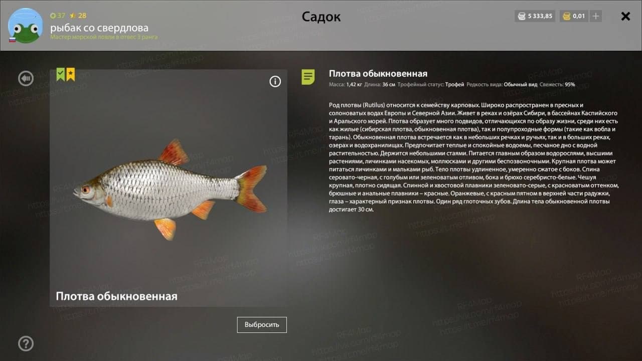 р. Ахтуба: фарм, трофей