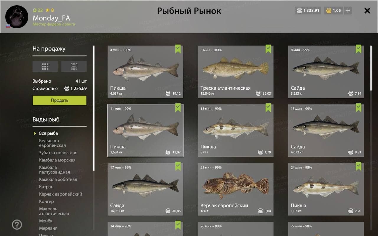 Норвежское море