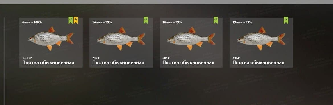 оз. Комариное: трофей