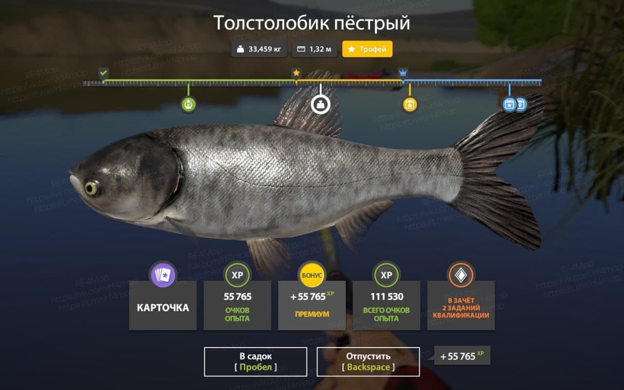 р. Сура: трофей