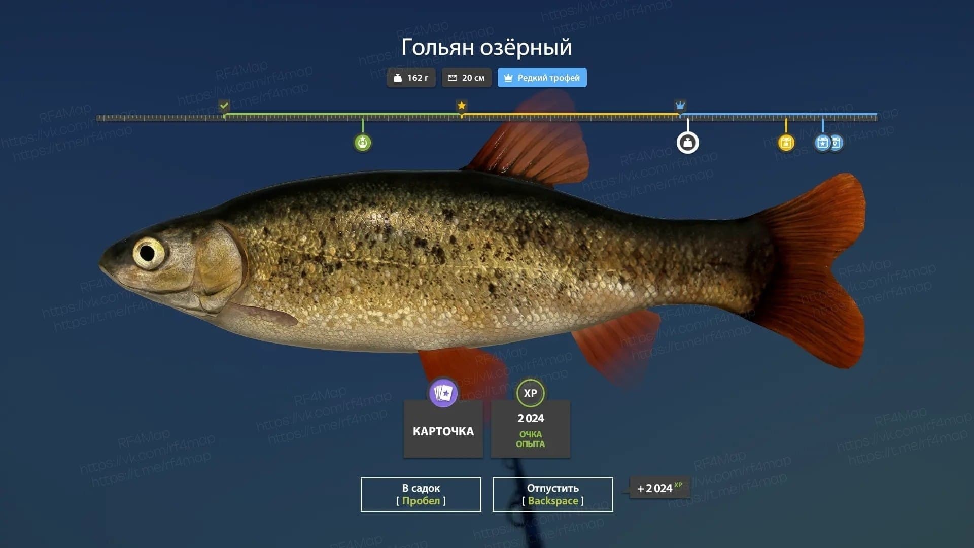 р. Нижняя Тунгуска: трофей