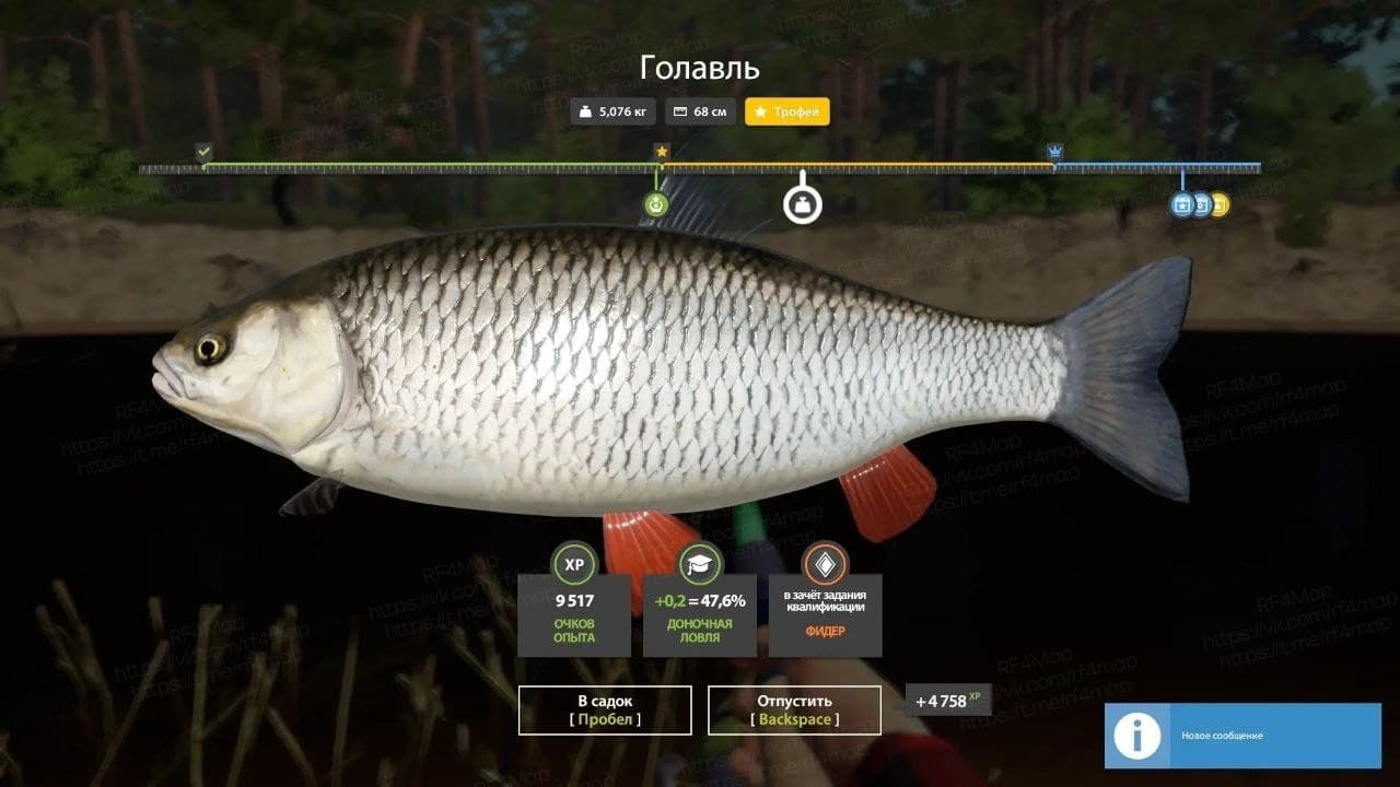 р. Вьюнок: трофей