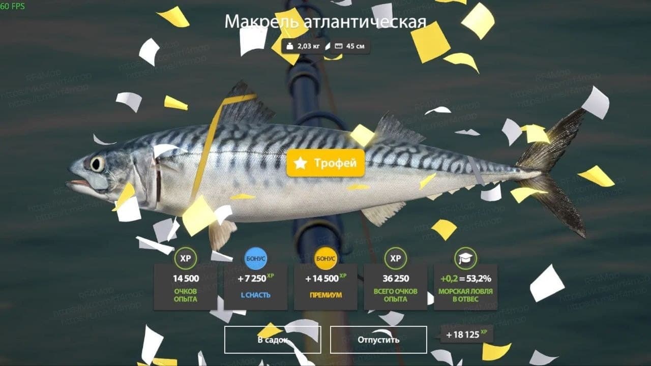 Норвежское море: трофей