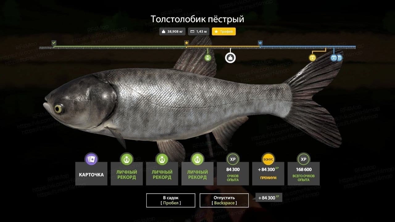 р. Сура: трофей