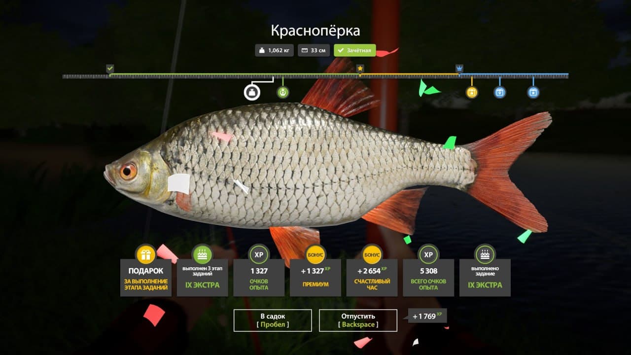 р. Северский Донец: задания