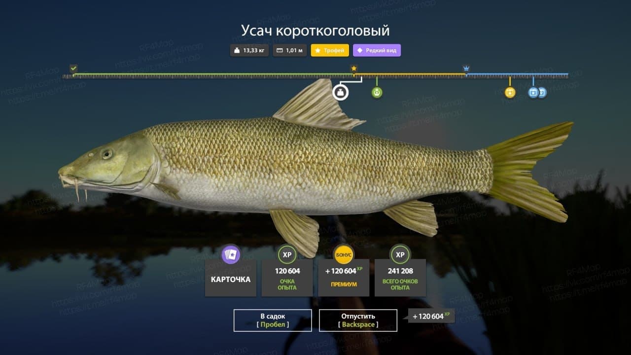 р. Ахтуба: трофей