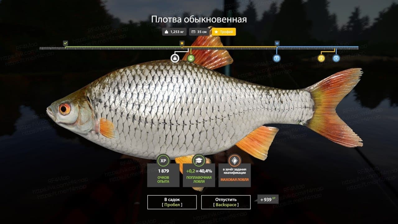 р. Вьюнок: трофей