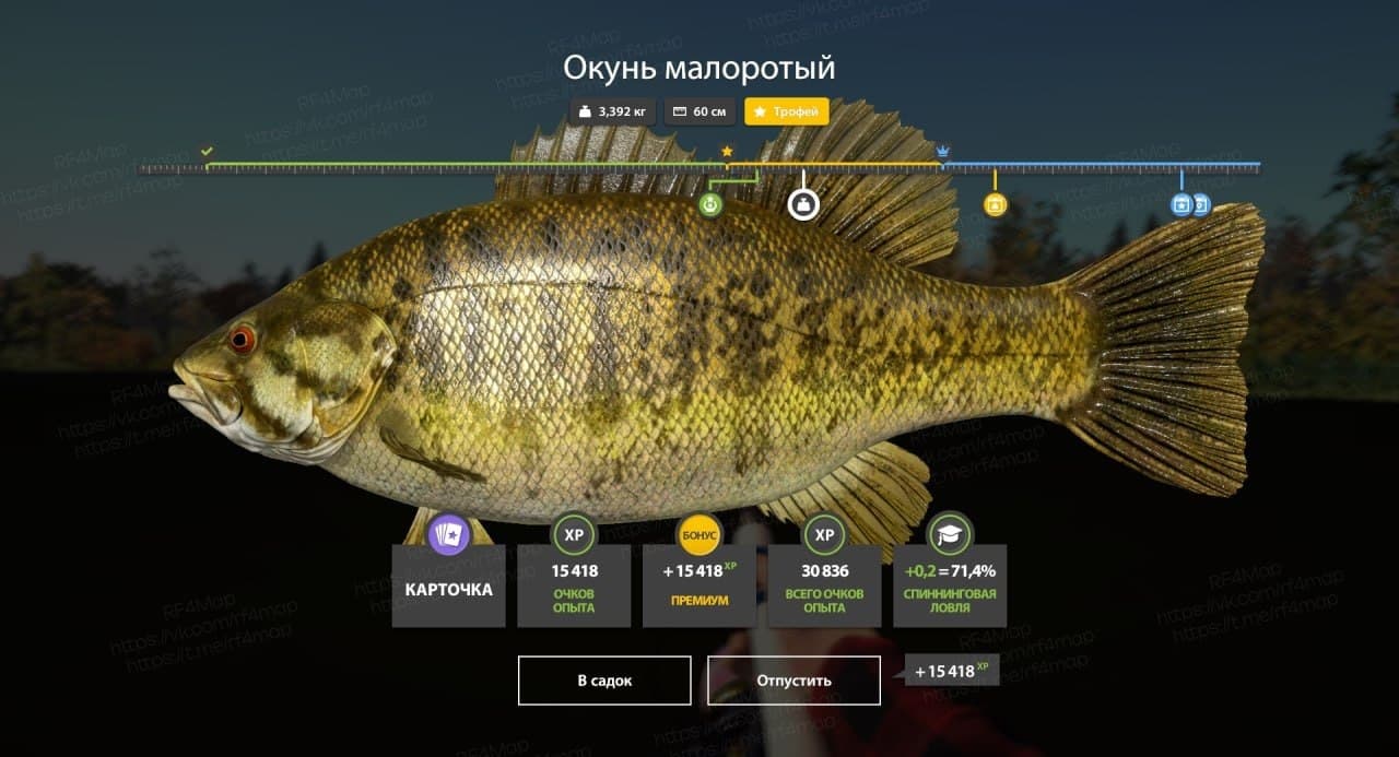 оз. Лосиное: трофей