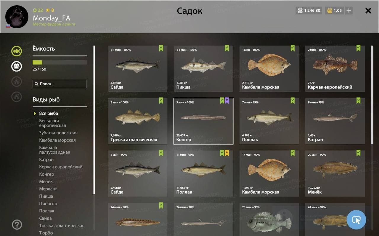 Норвежское море