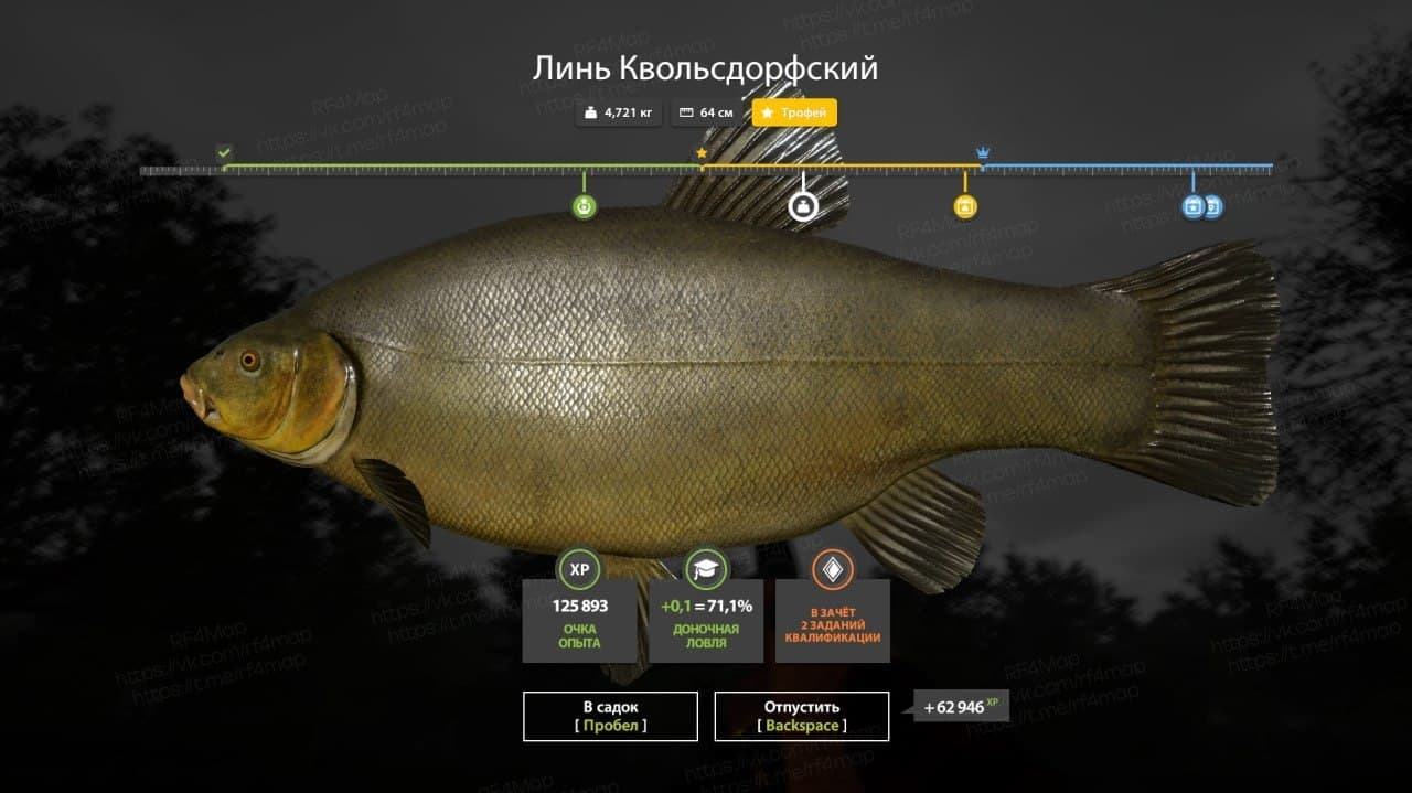 оз. Медное: трофей, фарм