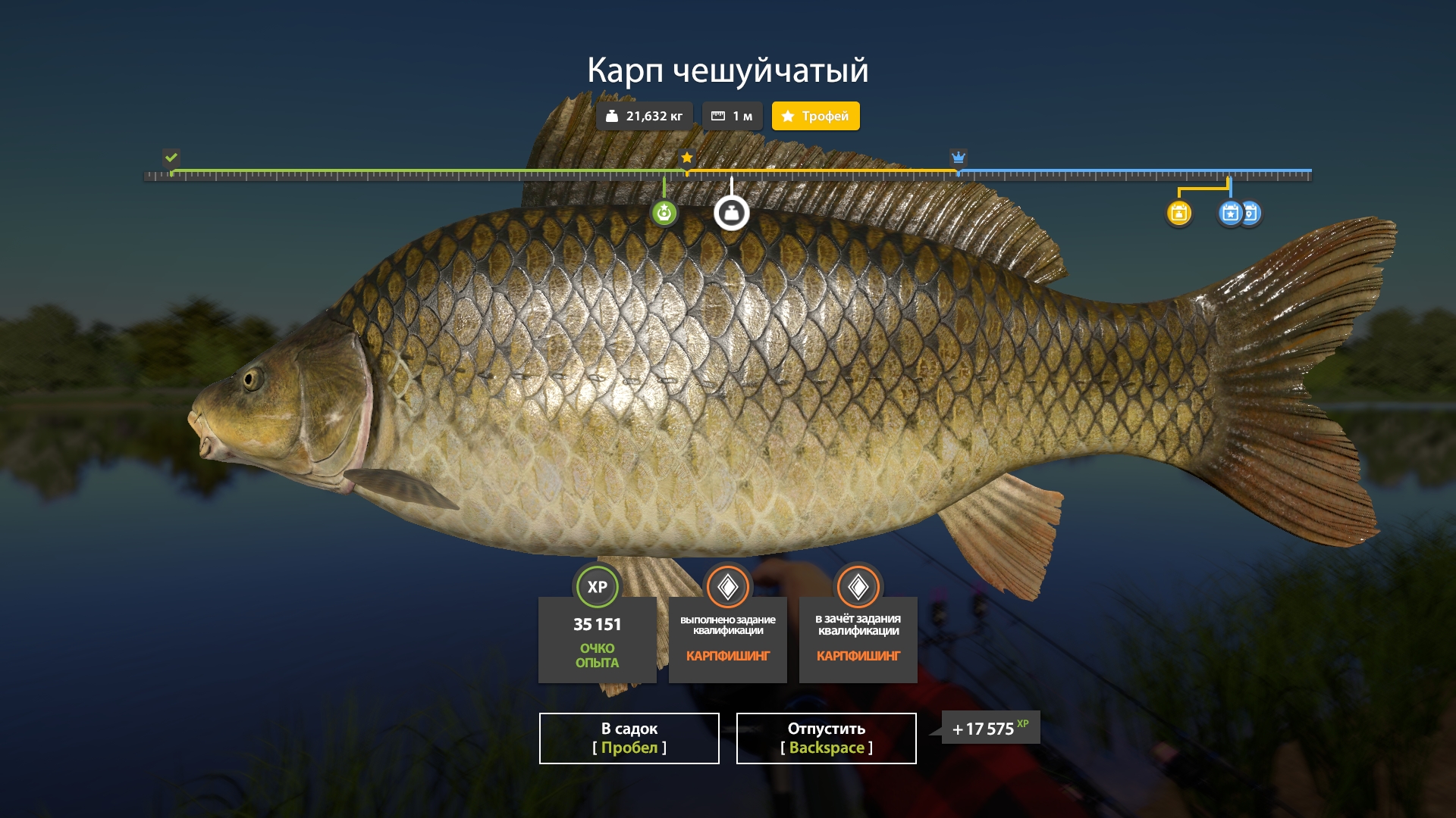 Улов (Карп Чешуйчатый) на #трофей_rf4map в RF4