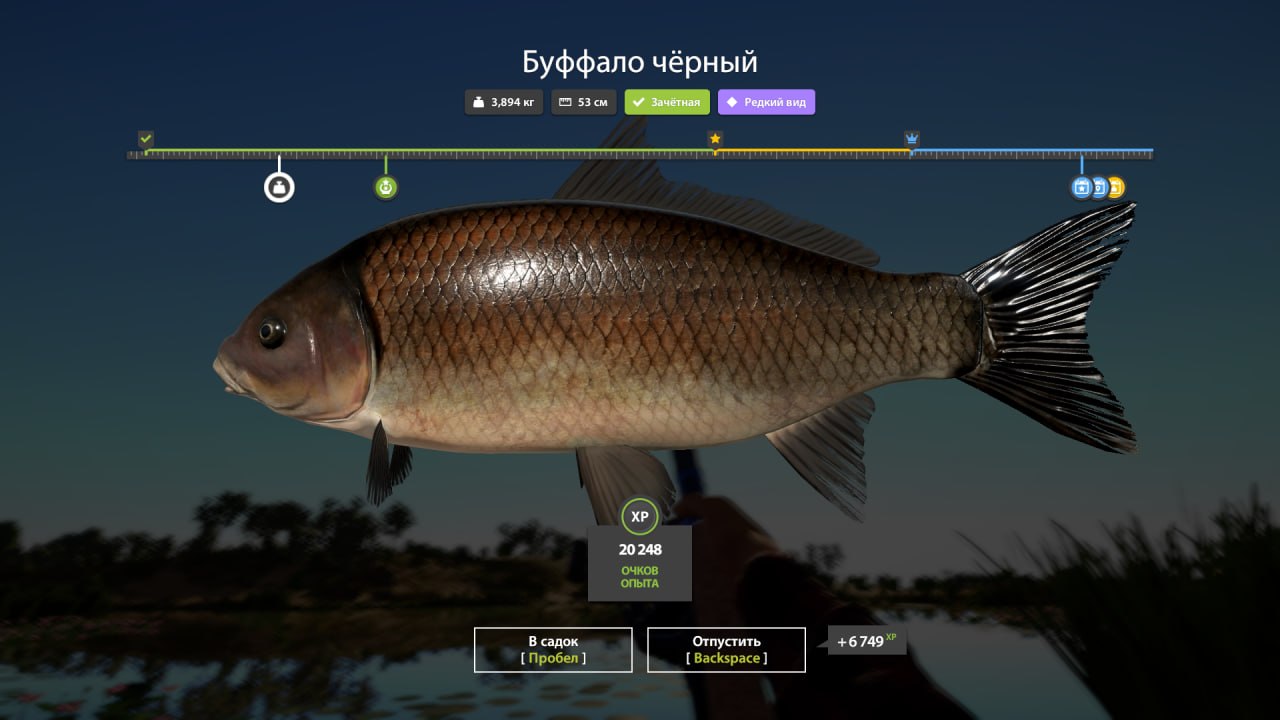 Улов (Разнорыбица) на #фарм_rf4map в RF4