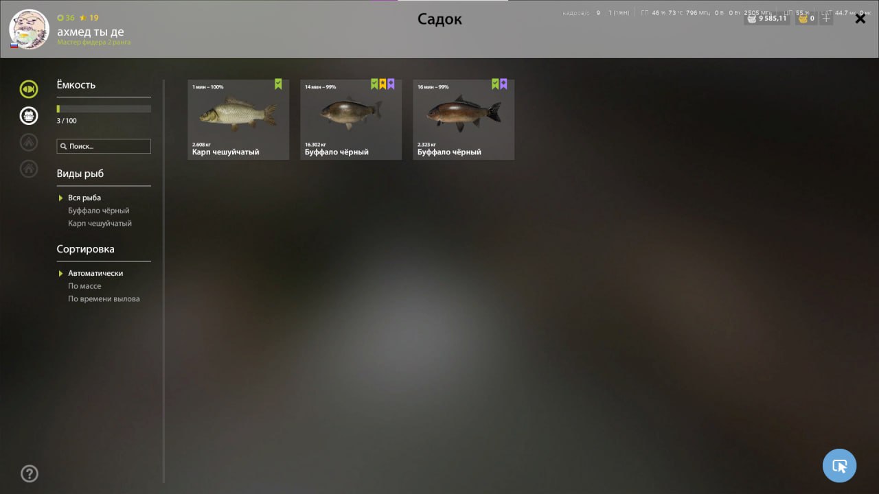 Улов (Буффало большеротый, Амур белый, Буффало чёрный, Карп чешуйчатый) на #трофей_rf4map в RF4