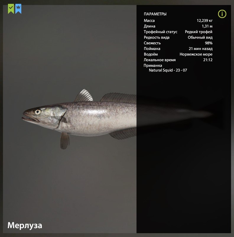 Улов (Мерлуза) на #трофей_rf4map в RF4