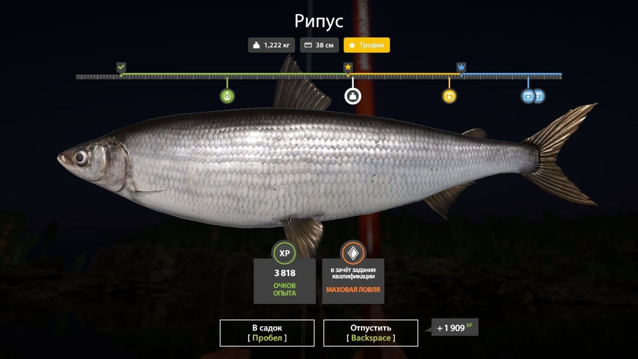 Улов (Рипус) на #трофей_rf4map в RF4