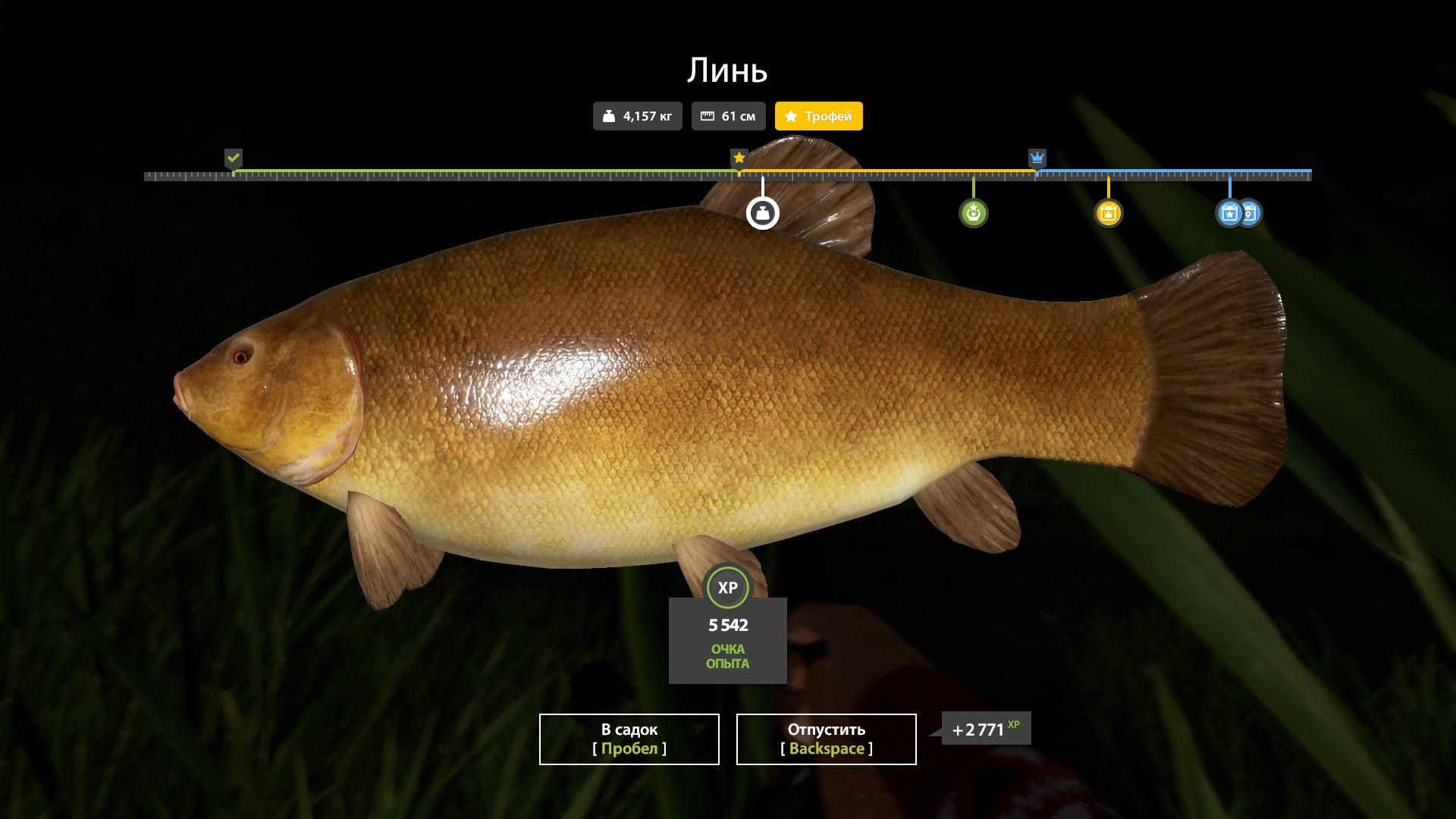Улов (Линь, Плотва обыкновенная) на #трофей_rf4map в RF4