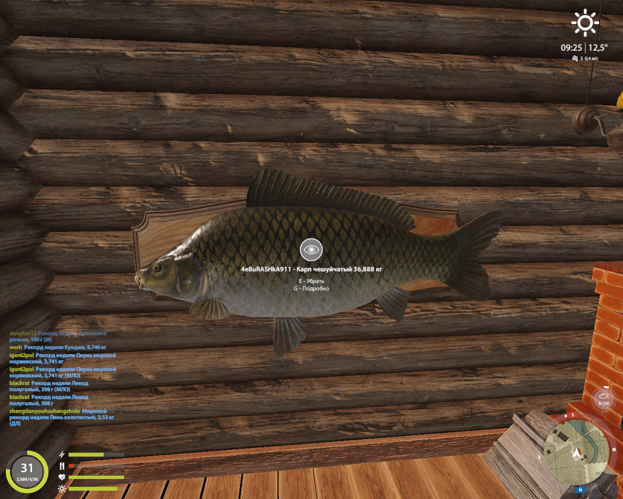 Улов (Карп Чешуйчатый) на #трофей_rf4map в RF4