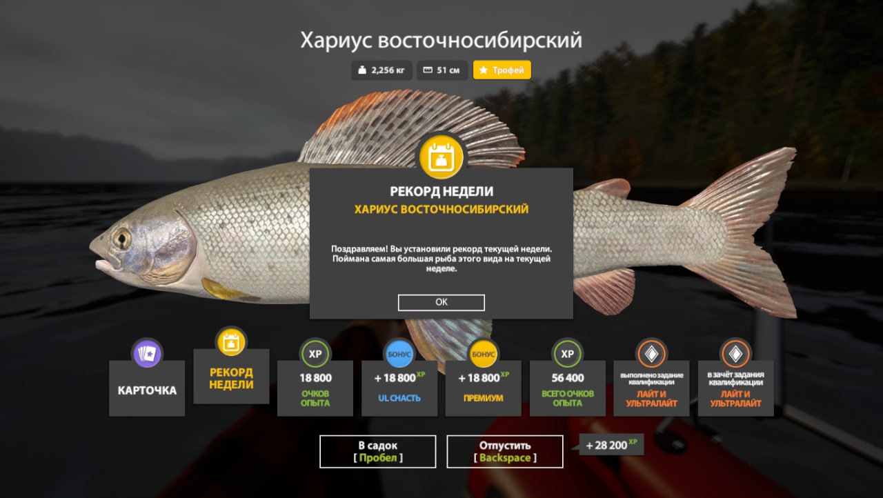 Улов (Хариус восточносибирский) на #трофей_rf4map в RF4