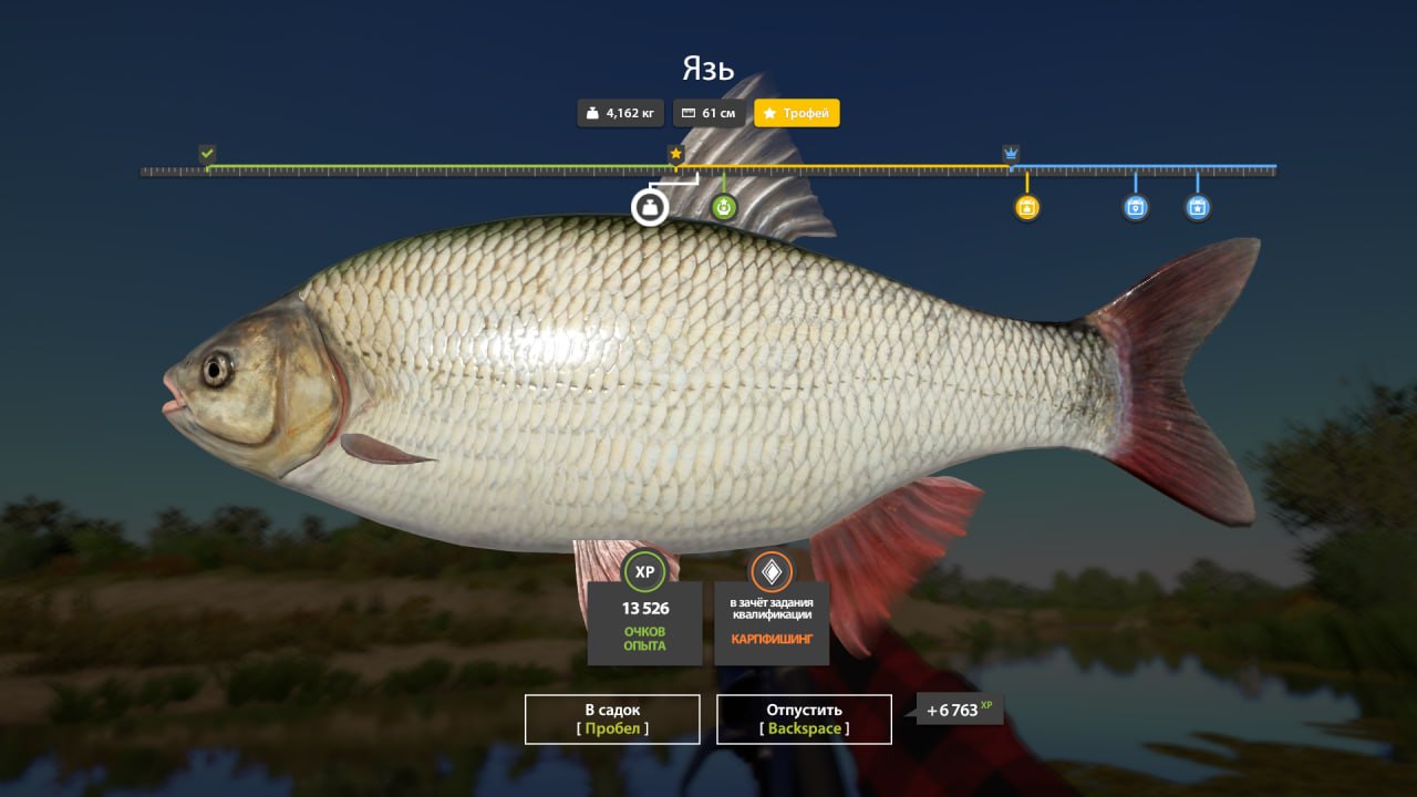 Улов (Язь) на #трофей_rf4map в RF4