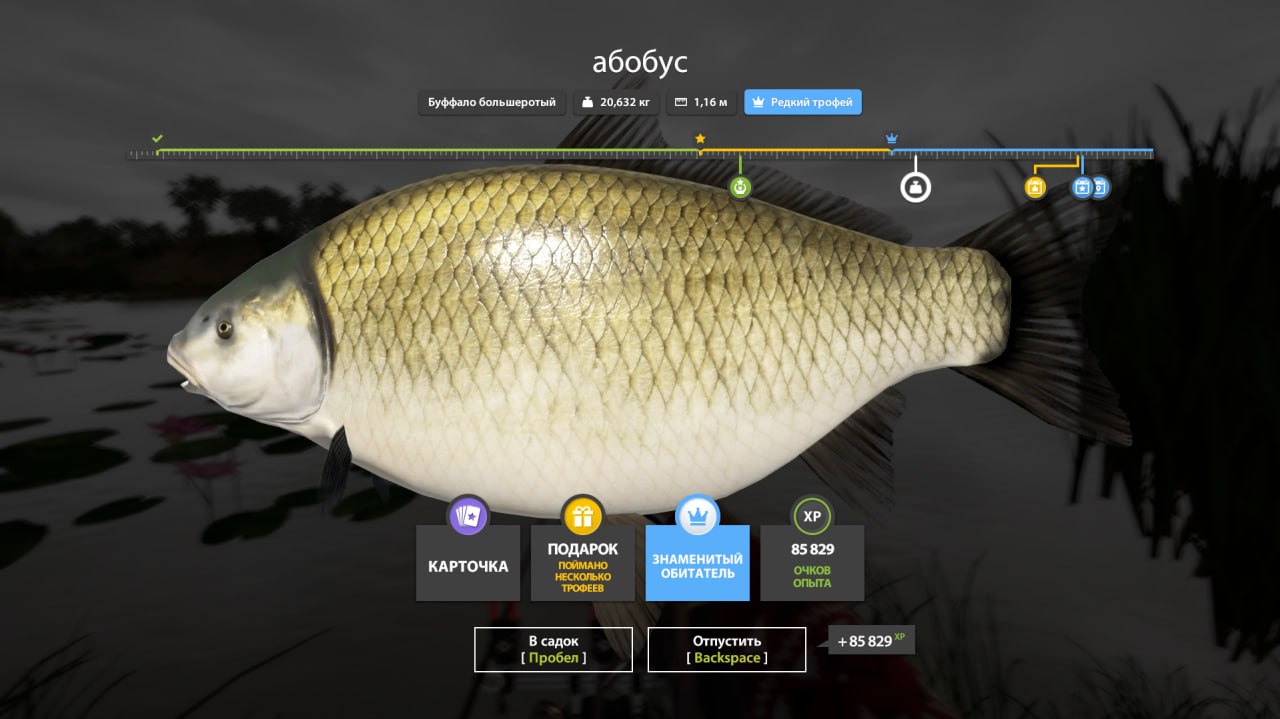 Улов (Буффало большеротый) на #трофей_rf4map в RF4