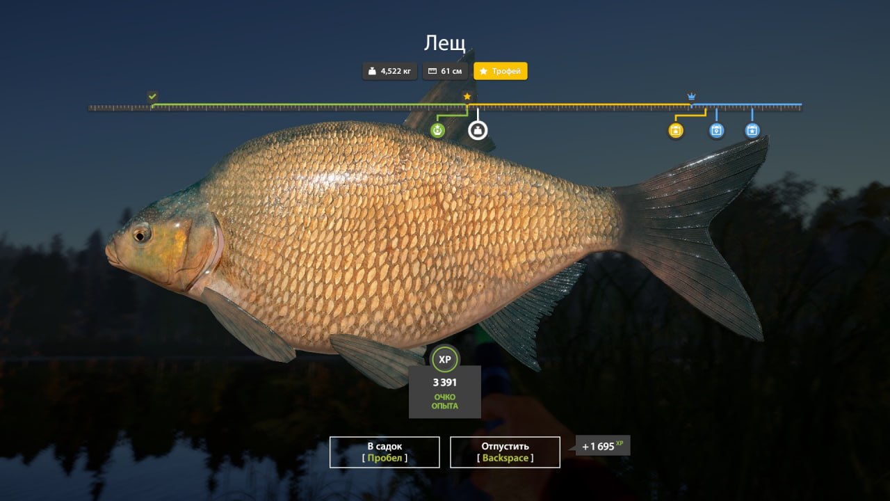 Улов (Лещ) на #трофей_rf4map в RF4