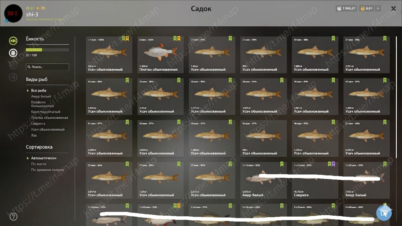 Улов (Усач альбинос, Плотва обыкновенная) на #трофей_rf4map в RF4