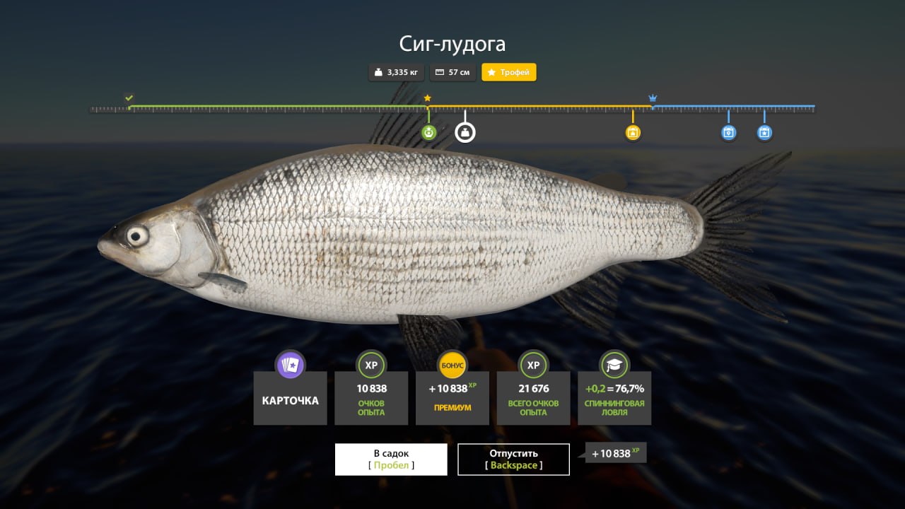 Скриншот точки клева на #трофей_rf4map