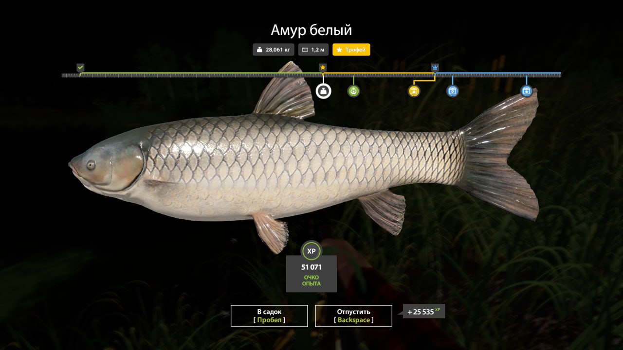 Улов (Амур белый) на #трофей_rf4map в RF4
