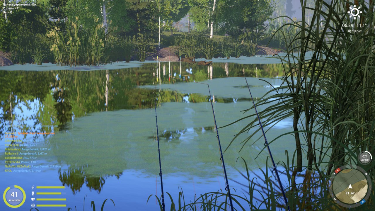 Улов (Карп чешуйчатый) на #трофей_rf4map в RF4