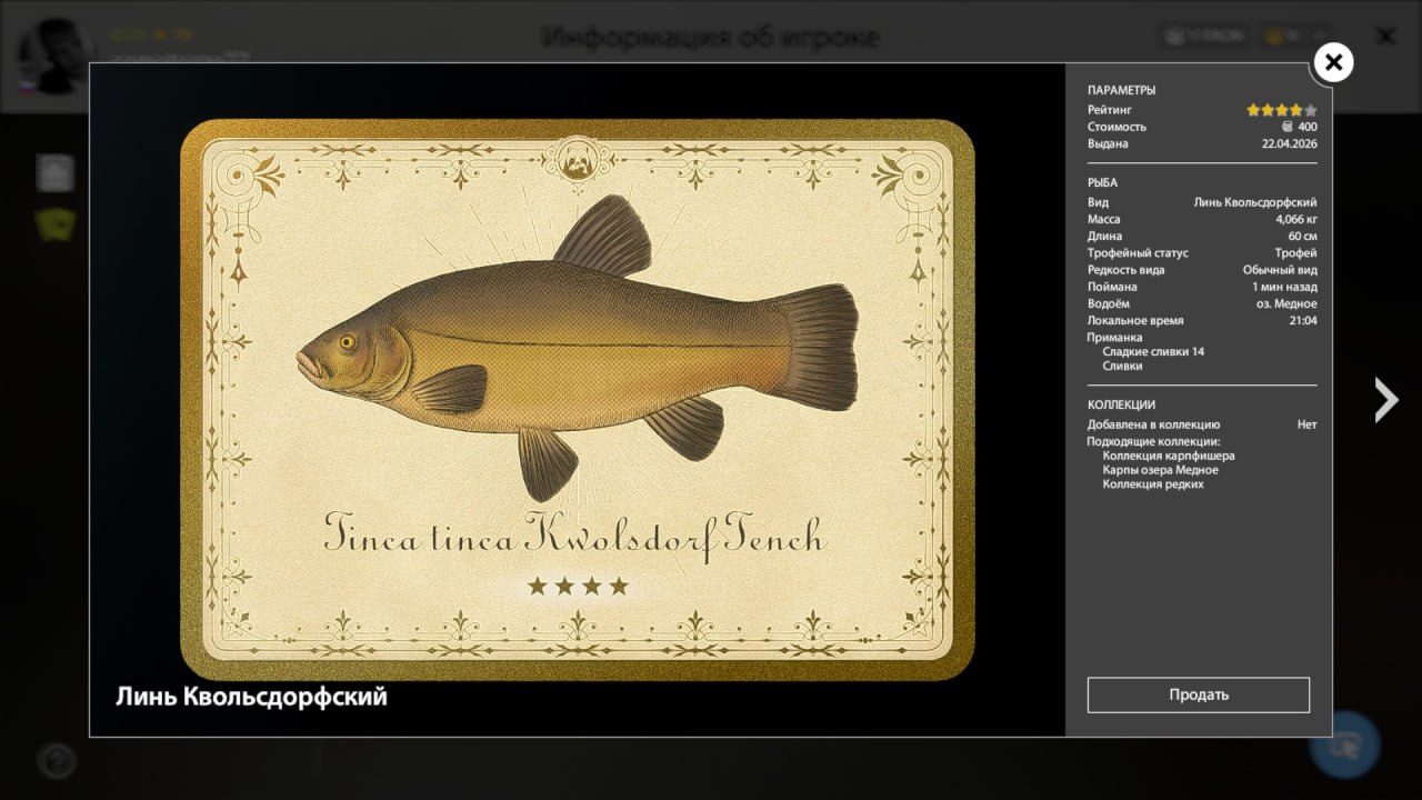 Улов (Линь Квольсдорфский) на #трофей_rf4map в RF4