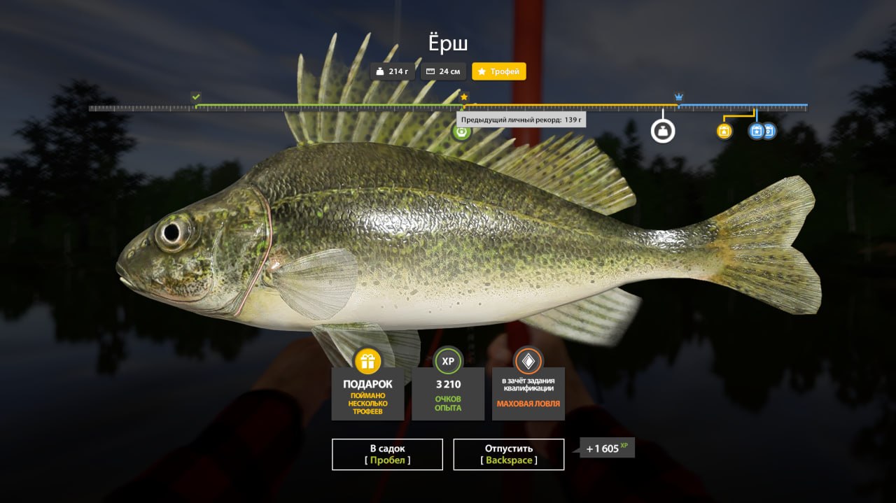 Улов (Ёрш) на #трофей_rf4map в RF4