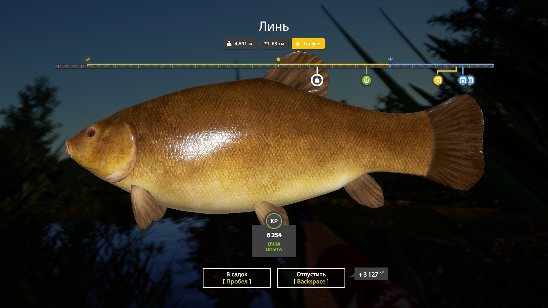 Улов (Линь) на #трофей_rf4map в RF4