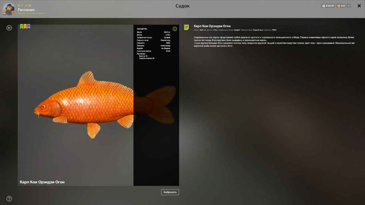 Улов (Карп Кои Орэндзи Огон) на #трофей_rf4map в RF4