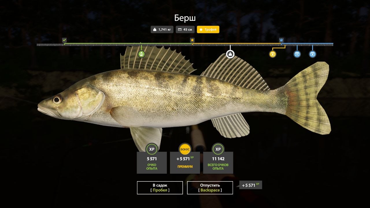 Улов (Берш) на #трофей_rf4map в RF4