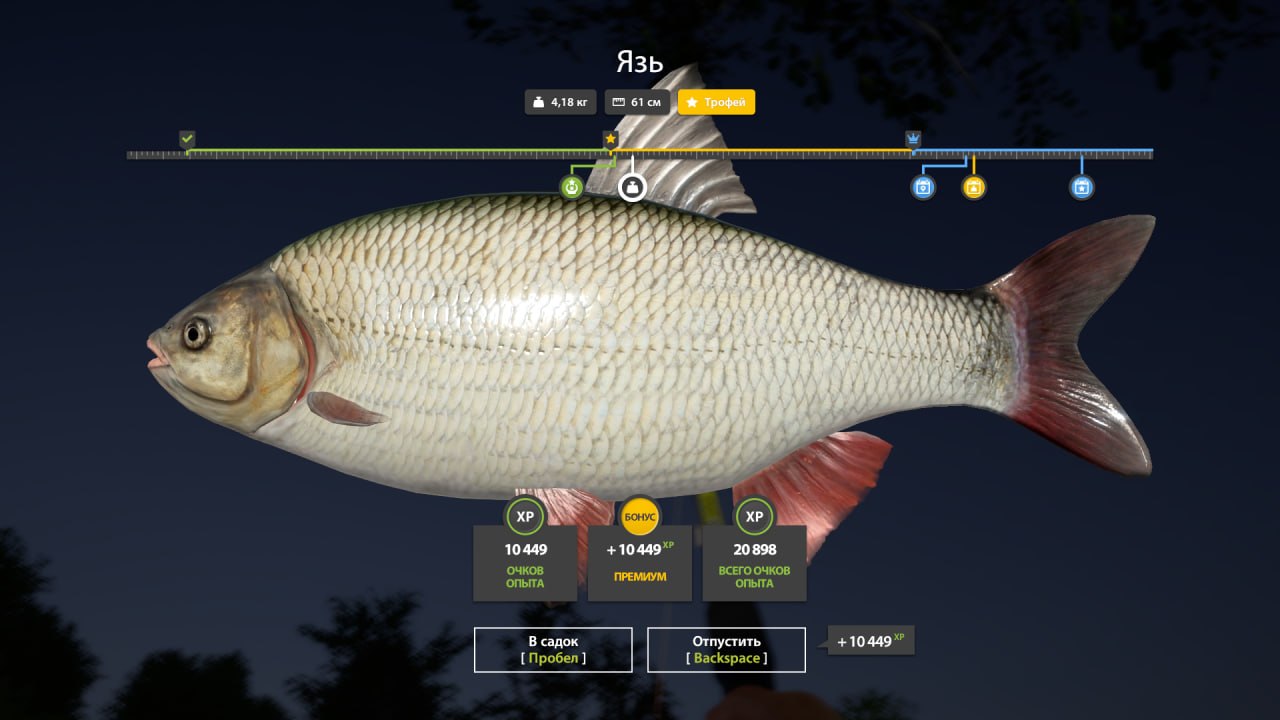 Улов (Язь) на #трофей_rf4map в RF4