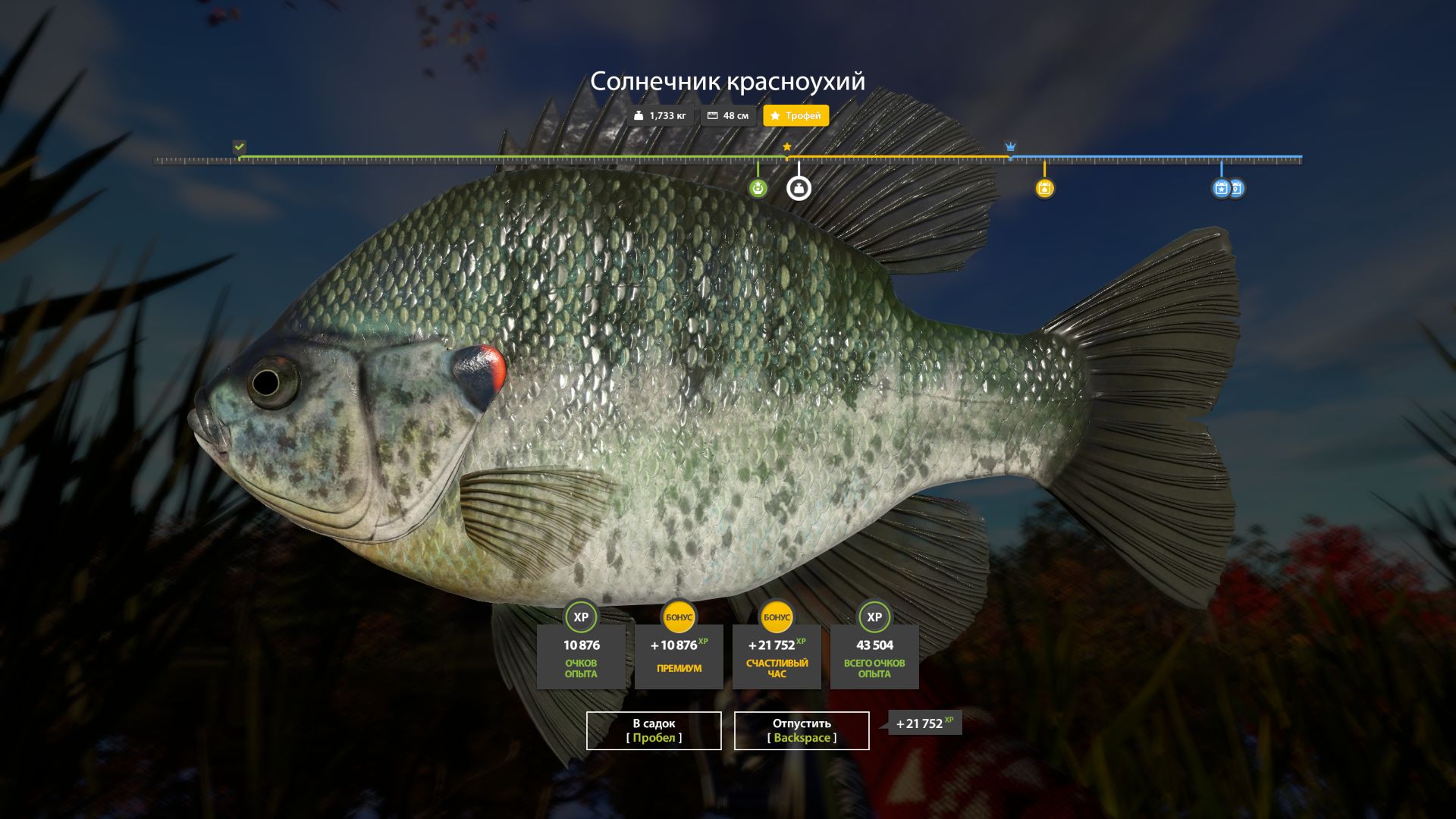 Улов (Разнорыбица) на #трофей_rf4map в RF4