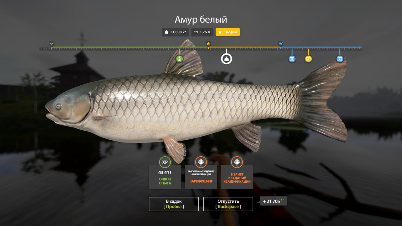 Улов (Амур белый) на #трофей_rf4map в RF4